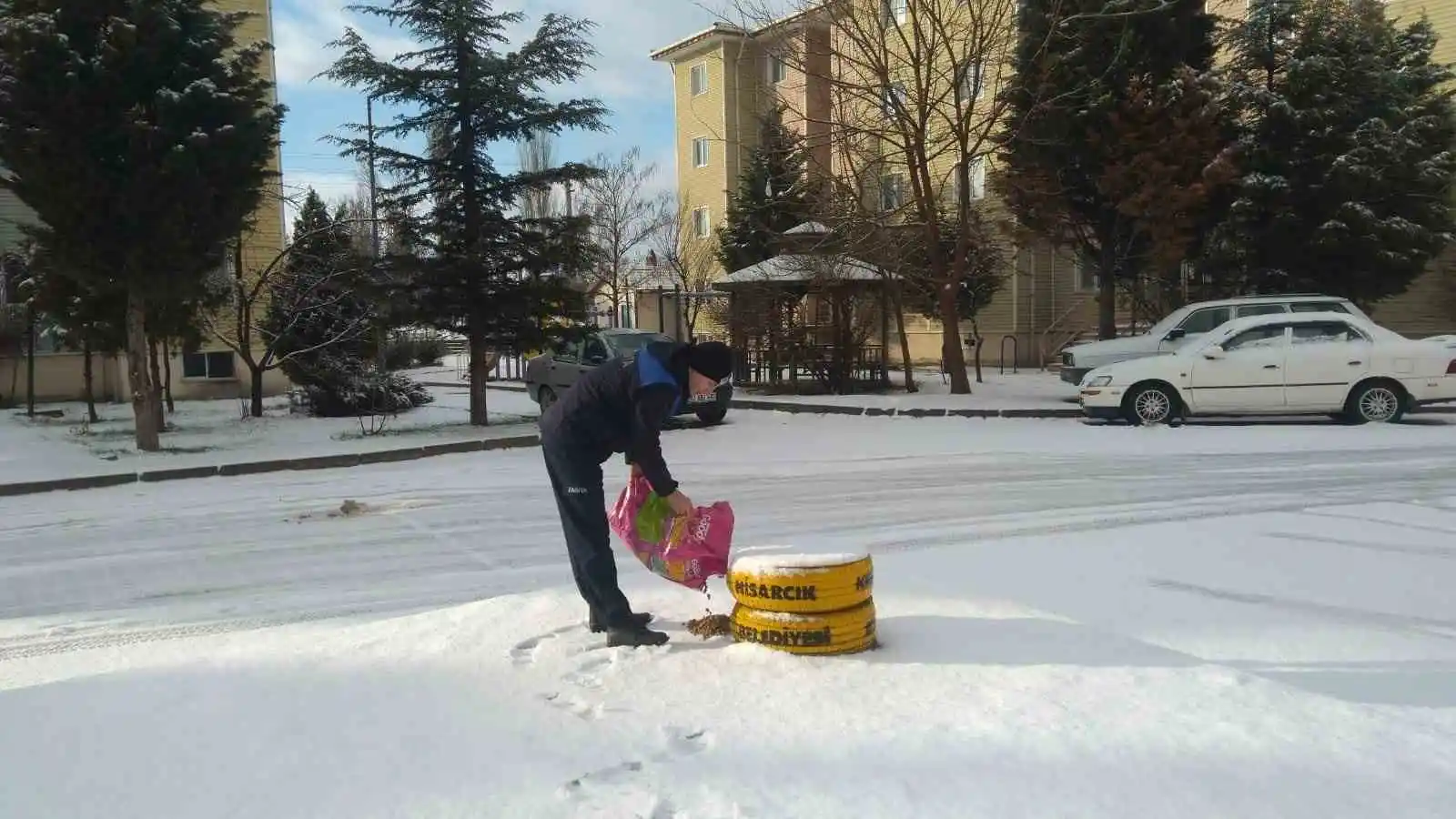 Hisarcık Belediyesi sokak hayvanlarını aç bırakmadı