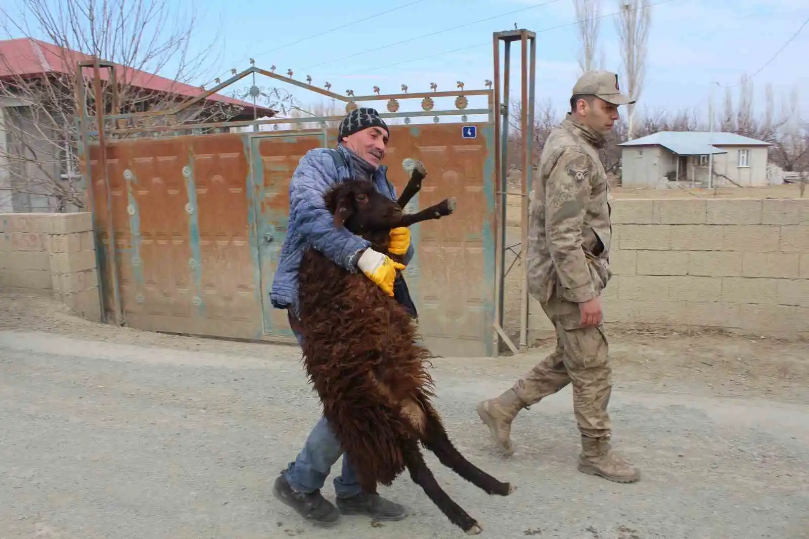 Iğdır'dan deprem bölgesine kavurma için hayvan desteği
