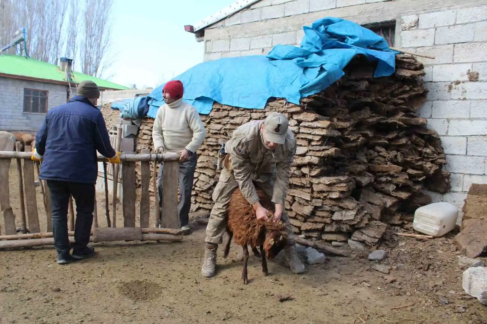 Iğdır’dan deprem bölgesine kavurma için hayvan desteği
