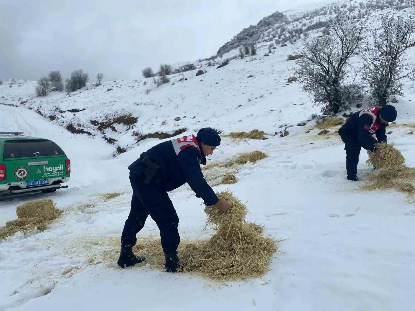 Jandarma çevre ve doğa koruma timleri yaban hayvanlarını unutmadı
