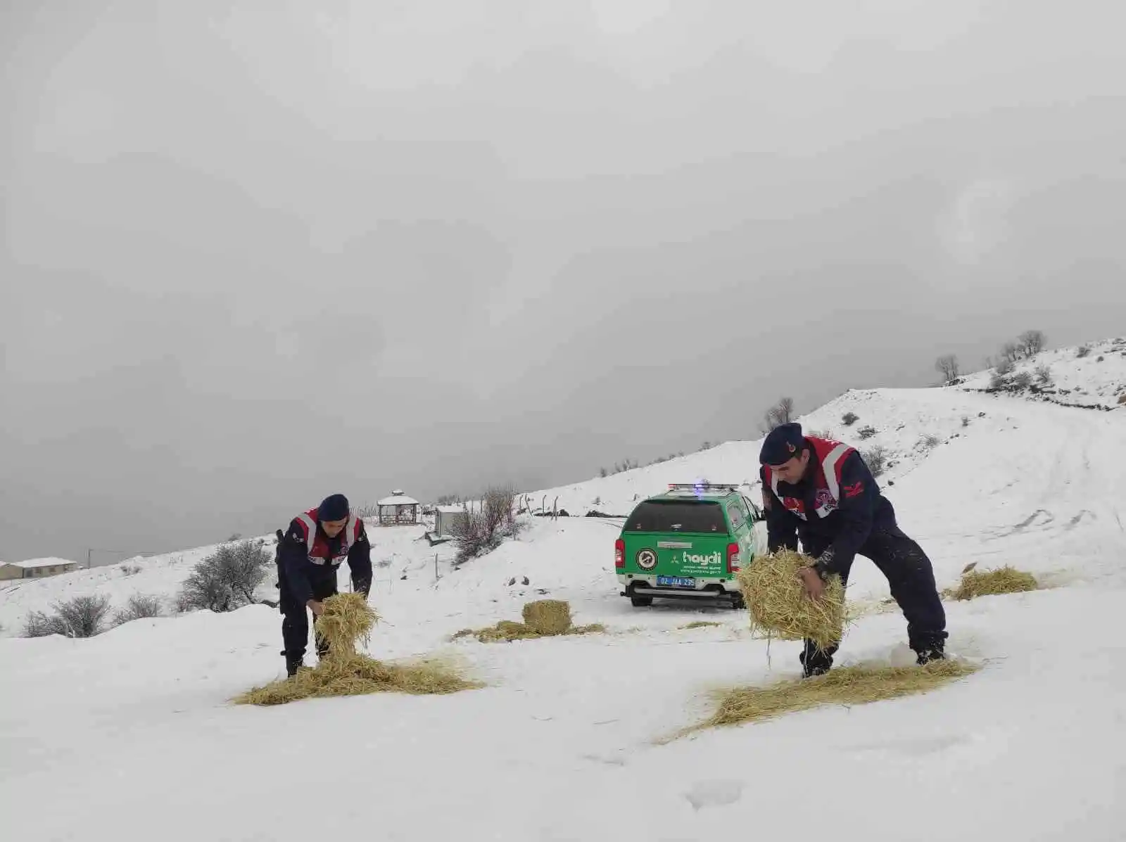 Jandarma çevre ve doğa koruma timleri yaban hayvanlarını unutmadı