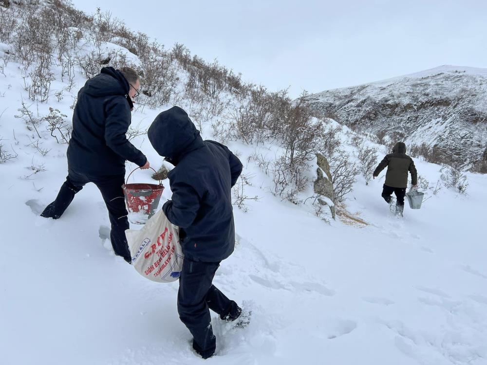 Kars'ta yaban hayvanları için doğa yem bırakıldı