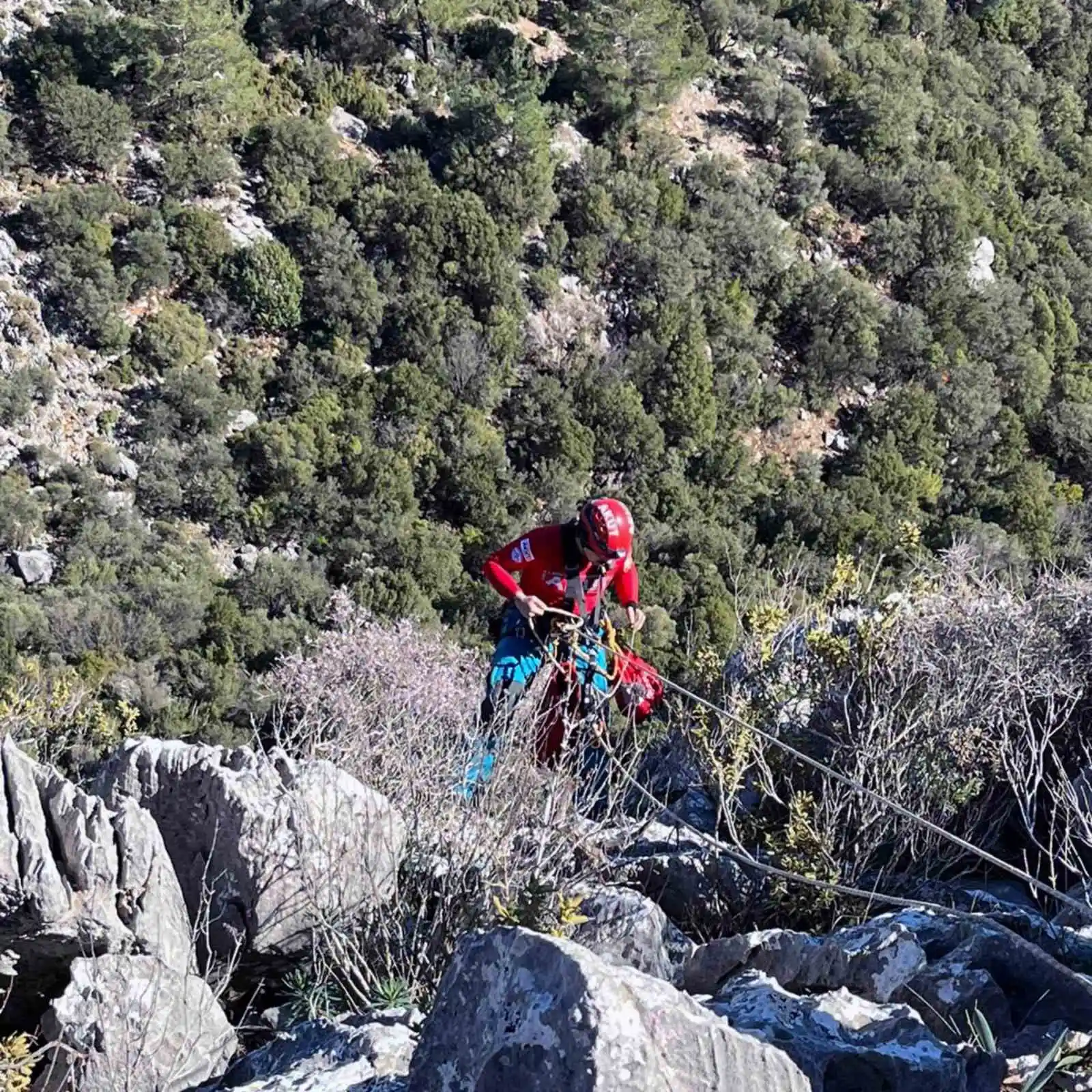 Kayalıklarda mahsur kalan keçileri AKUT kurtardı