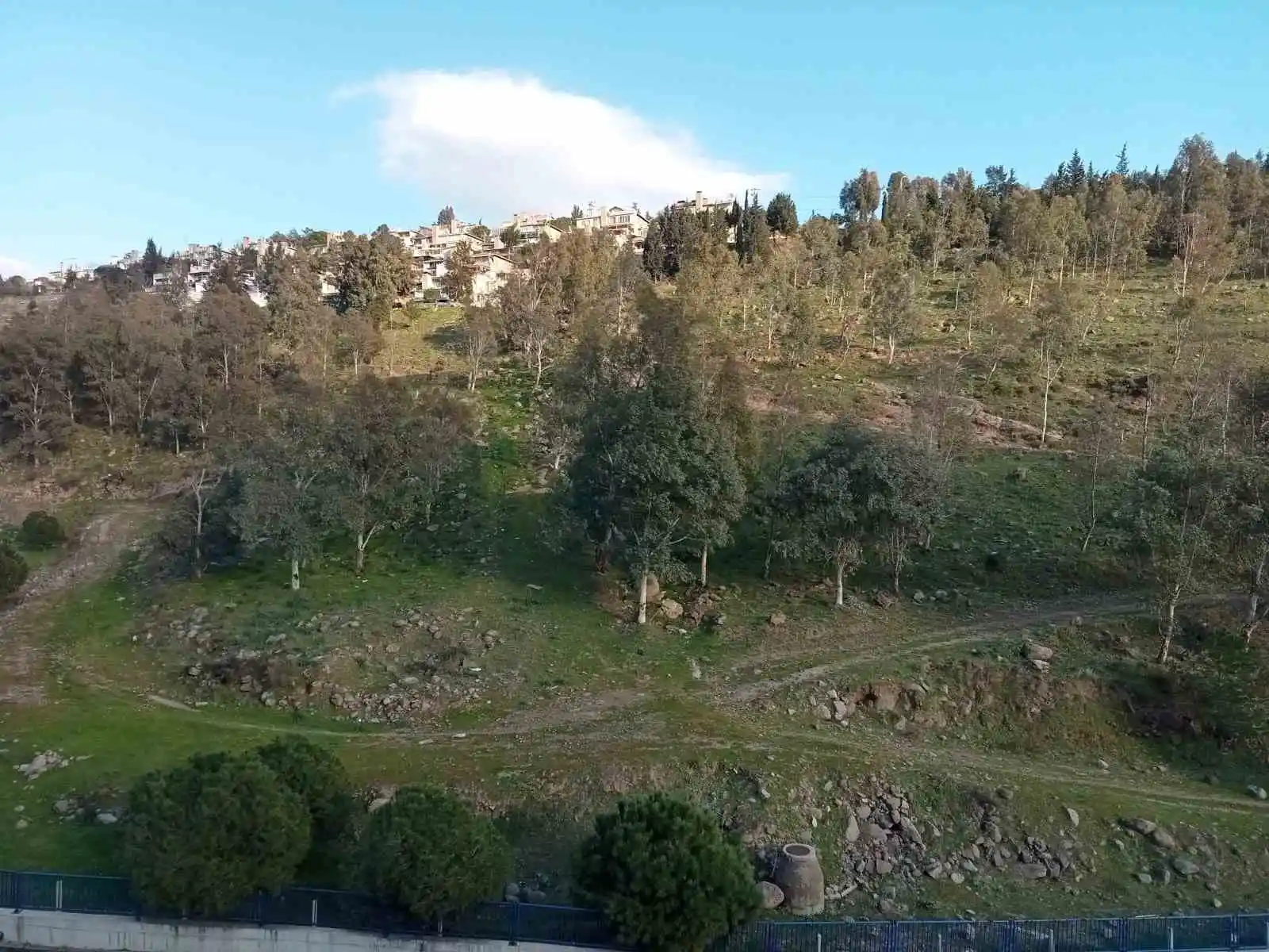 Koyunlar yalnız gelince şüphelendiler, cansız bedenini buldular
