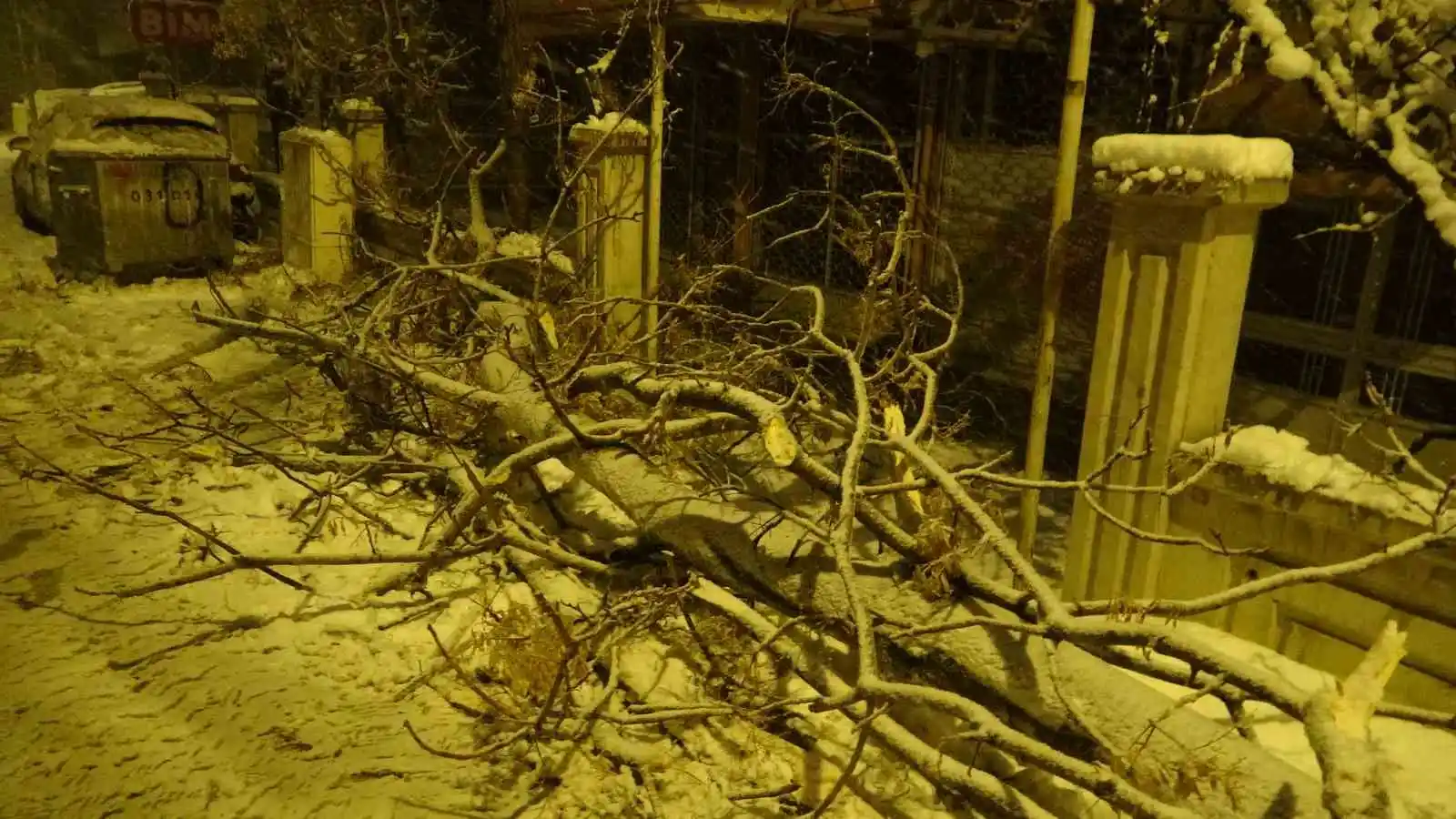 Malatya’da yoğun kar yağışı ağaçları devirdi