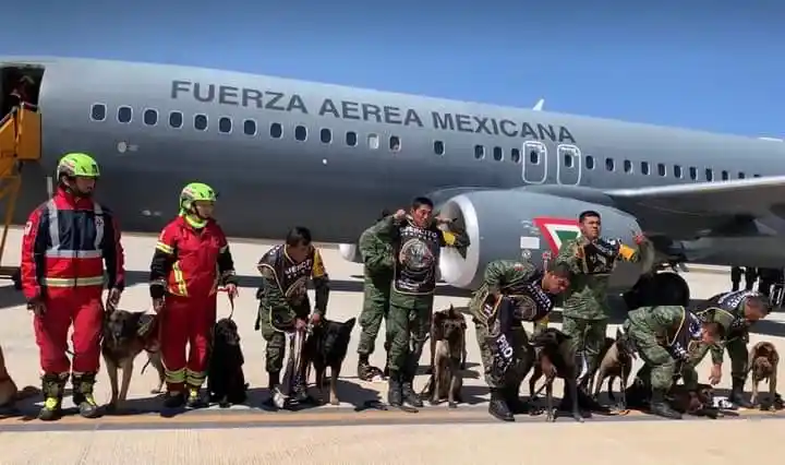 Meksikalı kurtarma ekipleri ülkelerine ulaştı
