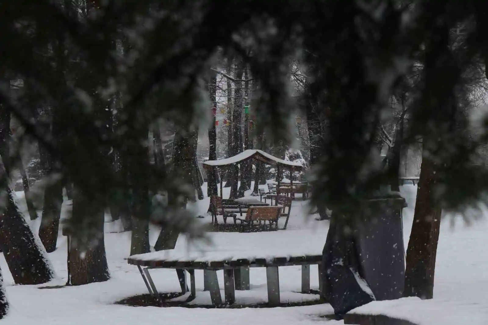Sakarya'da kar yağışı etkili oluyor
