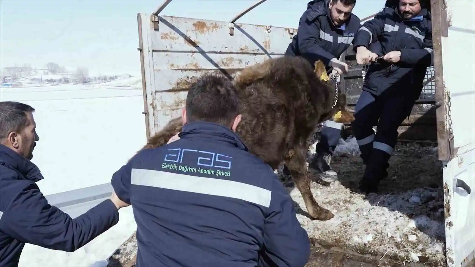 Sarıgül nine’den bir büyük hareket daha