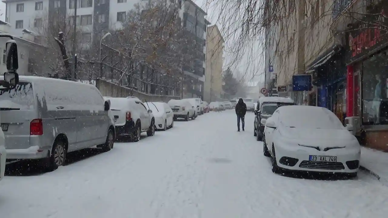 Tunceli'de kar yeniden bastırdı, 251 köy yolu ulaşıma kapandı
