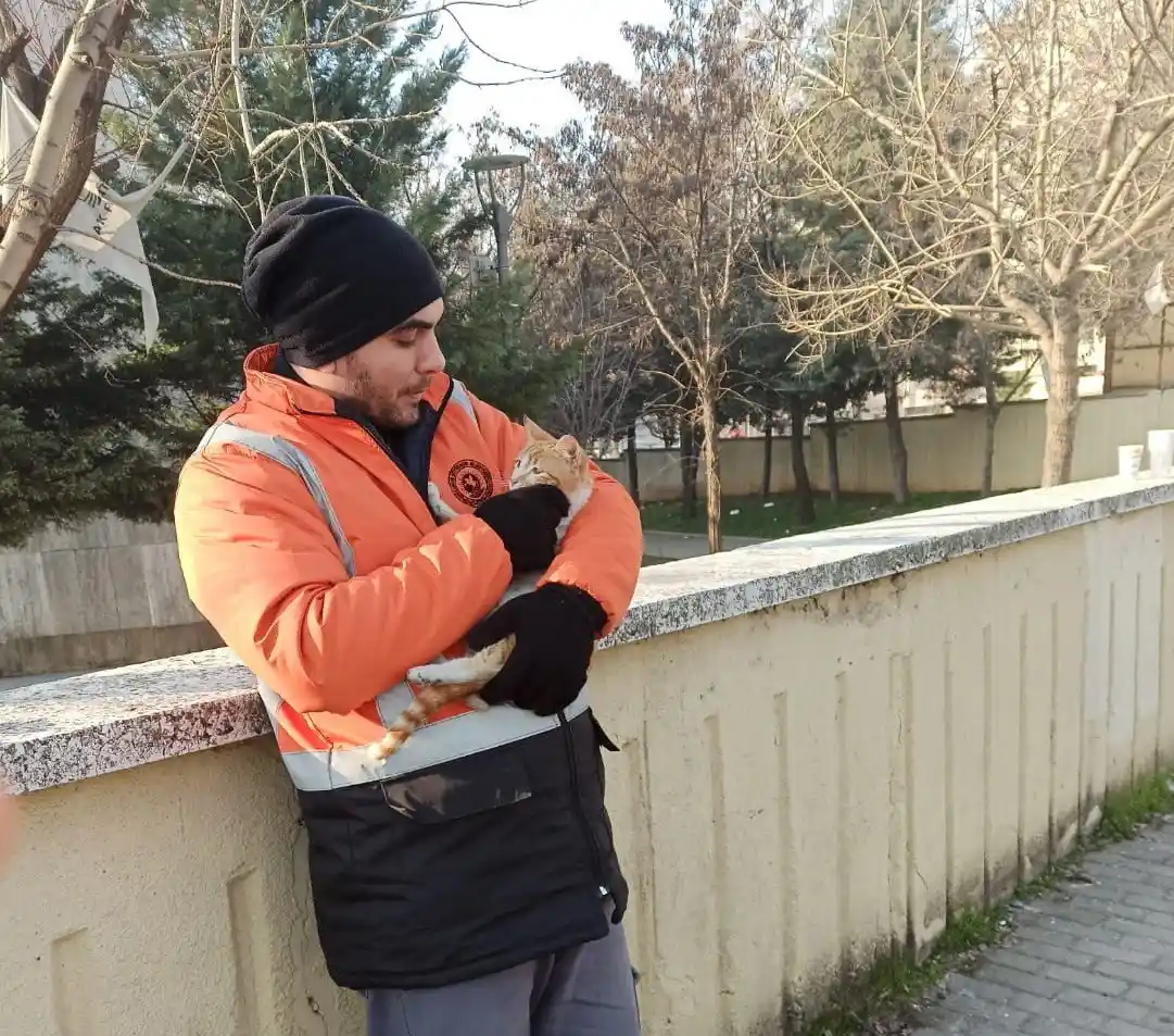Yıkıntılar arasından gelen kediye kucak açtı