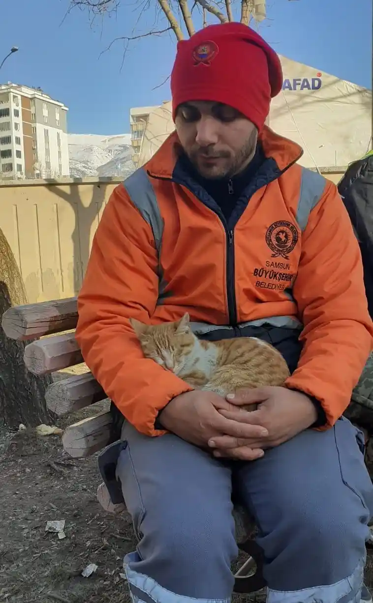 Yıkıntılar arasından gelen kediye kucak açtı