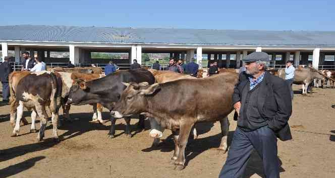 Kars'ta hayvan pazarları kapatıldı