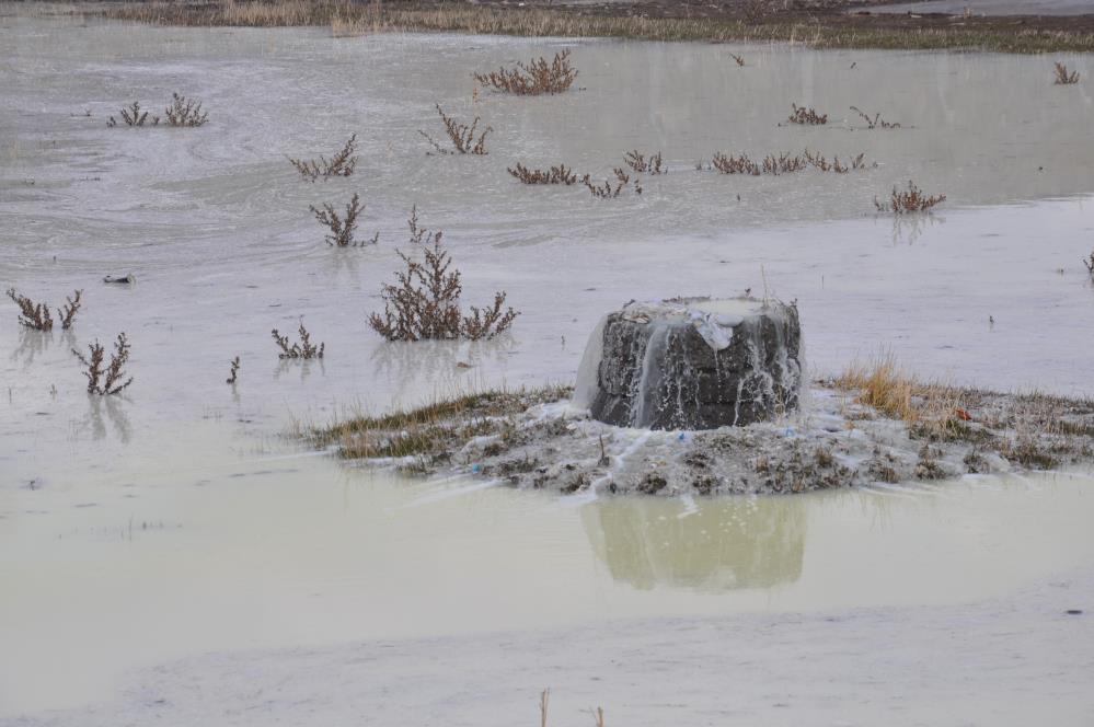 Kars'ta peynir altı suları zehir saçıyor