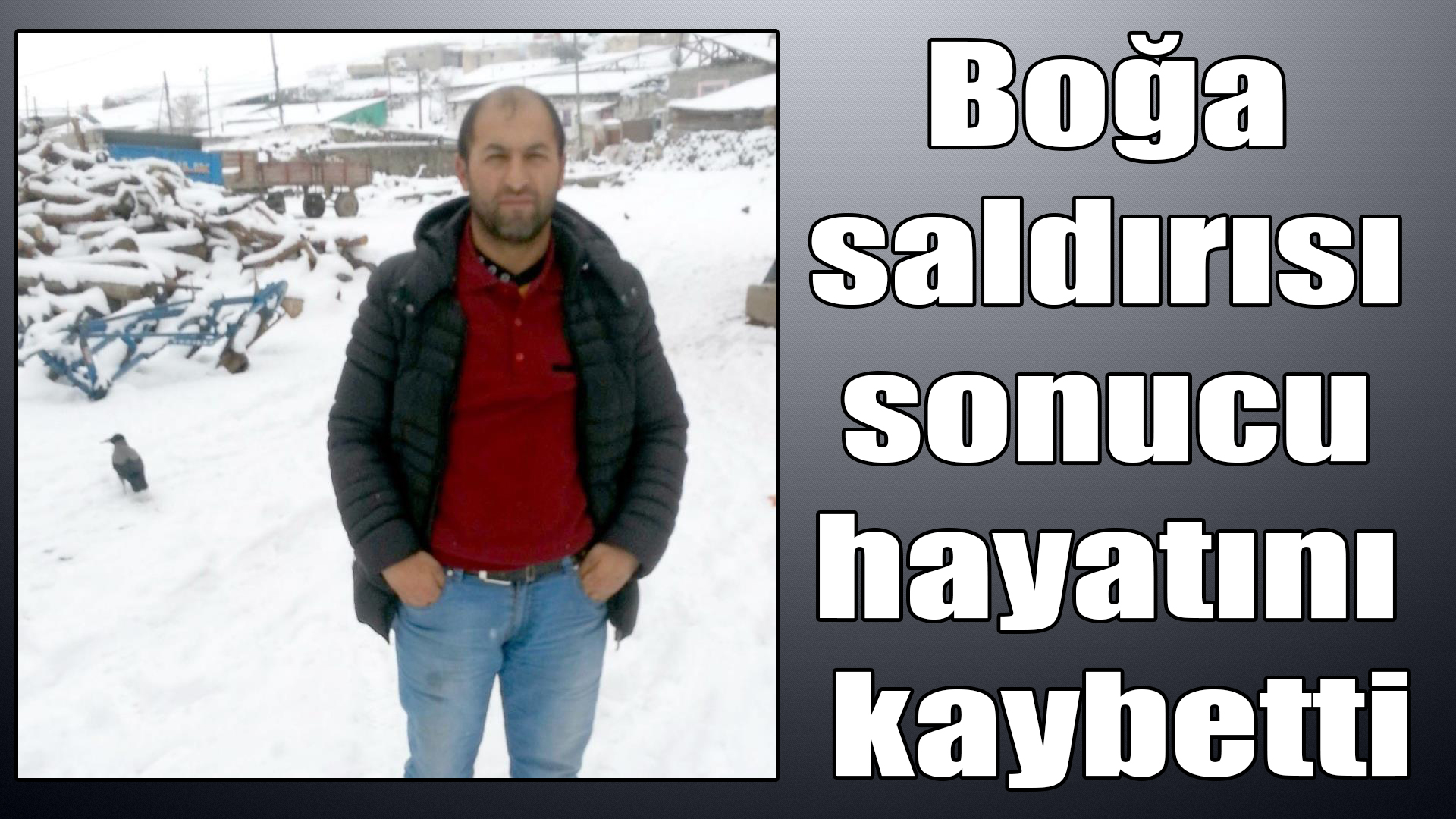  Boğa saldırısı sonucu hayatını kaybetti