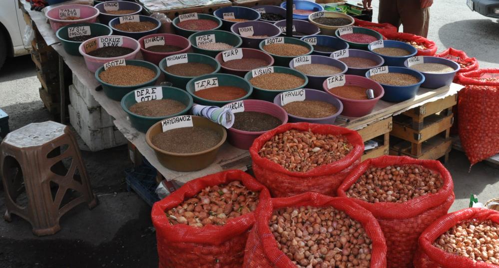 Kars'ta bostan tohumları satışa sunuldu