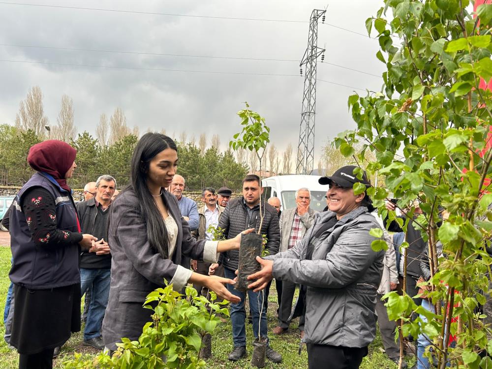 Arı yetiştiricilerine fidan dağıtıldı