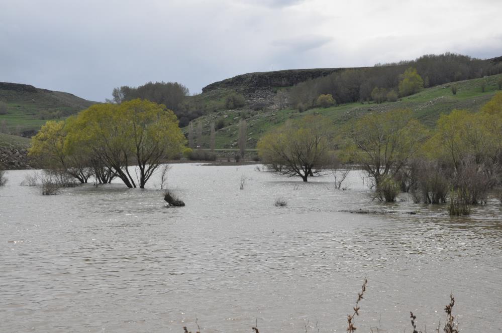  Kars'ta ağaçlar baraj suları altında kaldı