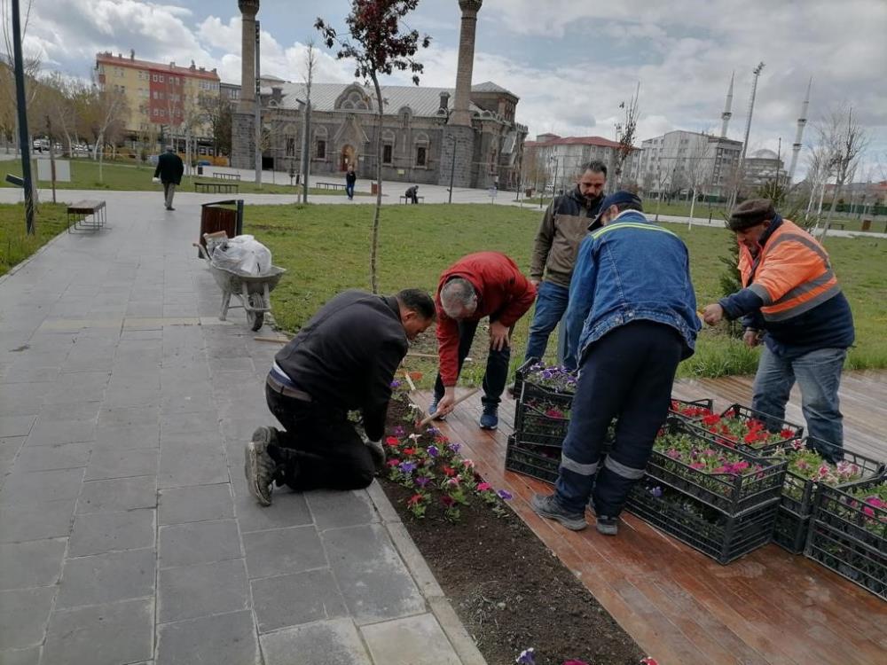 Kars'ta park, bahçe ve refüjler çiçek açıyor