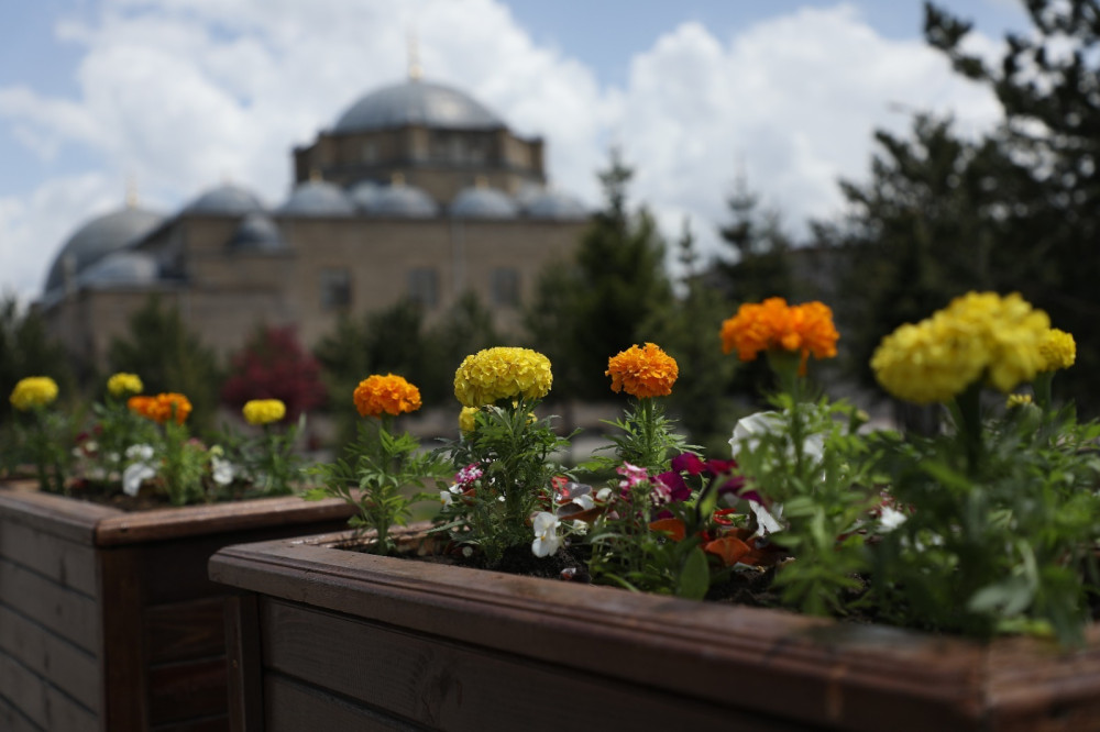 Kars'ta Park ve Bahçeler Çiçek Açtı