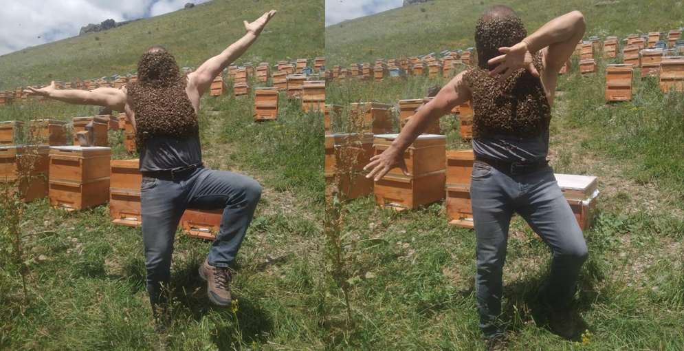 Karslı Arıcı Arılarla Dans Ediyor