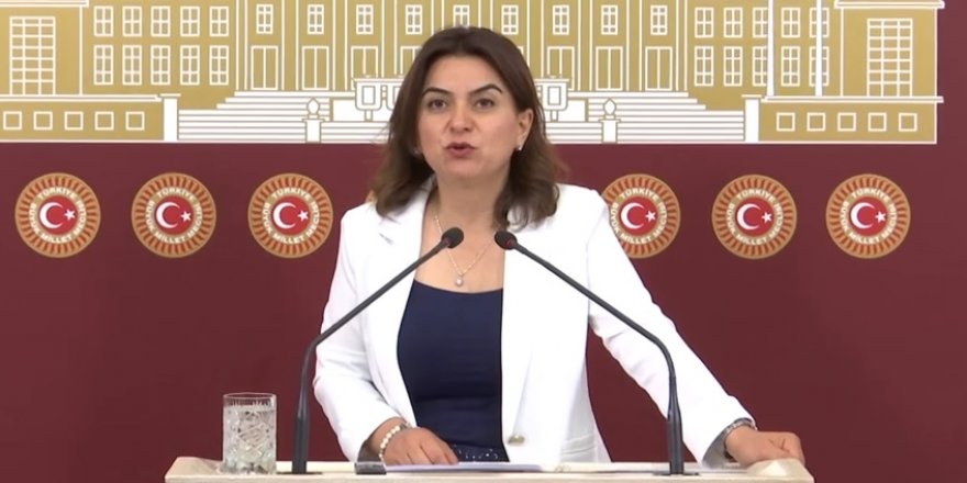 Milletvekili Koçyiğit, TBMM'de Kars'ın Sorunlarını Gündeme Taşıdı