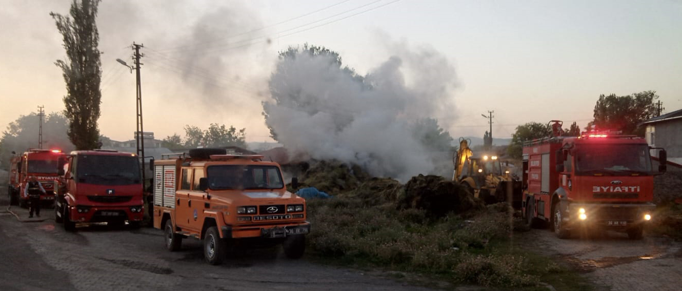 Kars'ta 1100 balya ot küle döndü