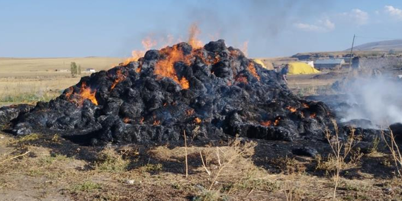 Kars'ta 20 ton ot yanarak kül oldu