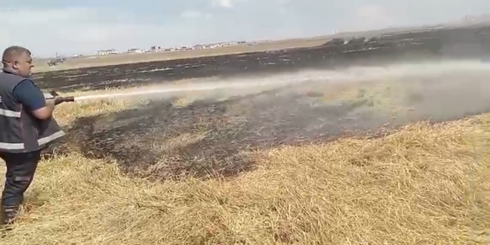 Kars'ta bir tarla küle döndü