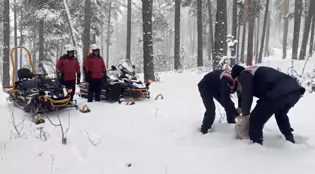 Kars jandarma ekipleri yabani hayvanları unutmadı