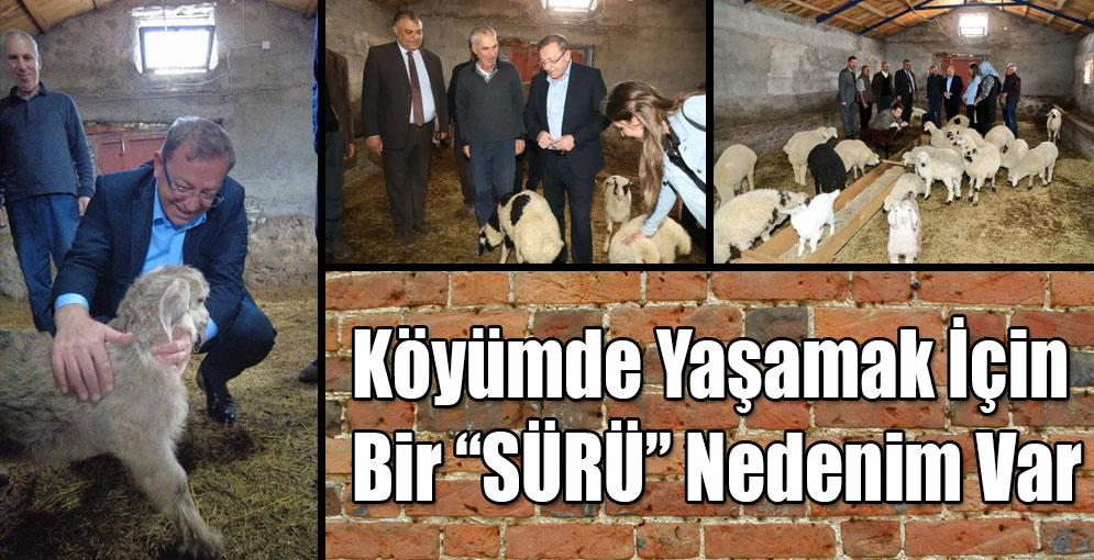 Köyümde Yaşamak İçin Bir SÜRÜ Nedenim Var 