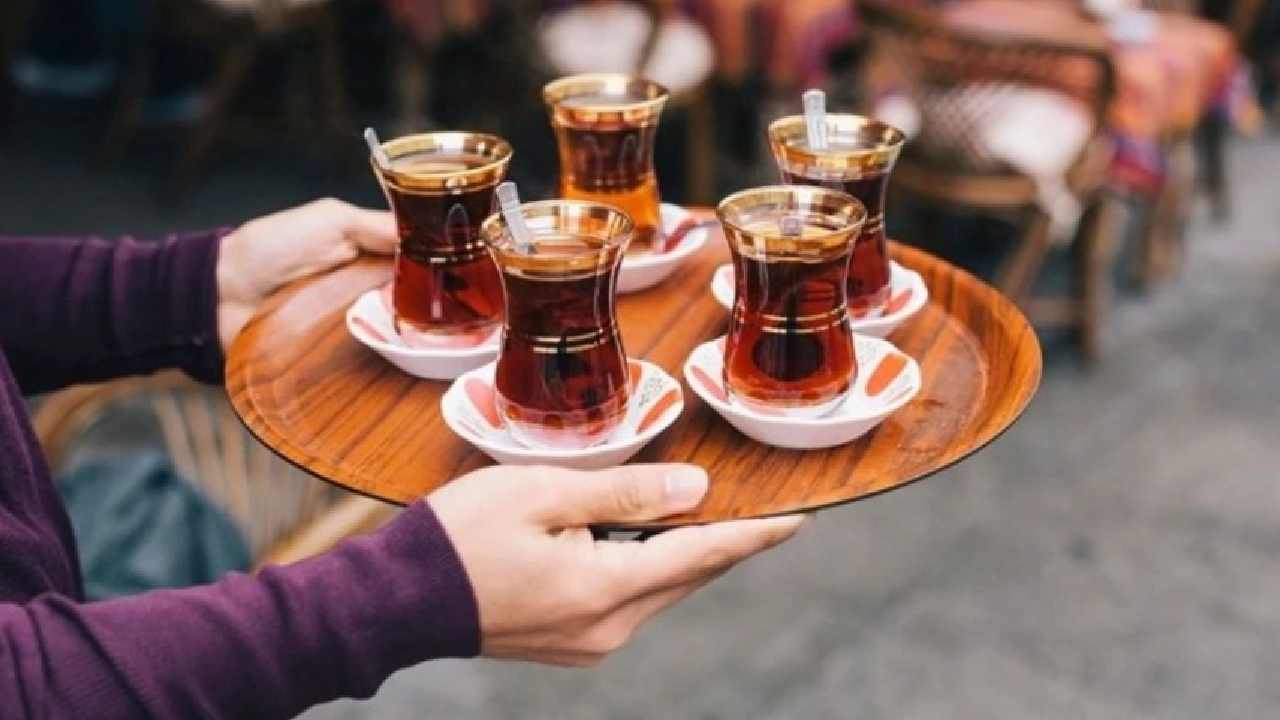 ÇAYKUR'dan üreticiye müjde! Yaş çay kampanyası başladı, 49 fabrika alıma hazır: Bu yıl rekolte nasıl olacak?