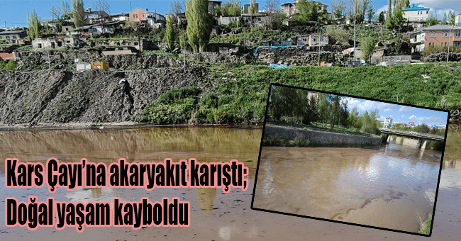 Kars Çayı'na akaryakıt karıştı; Doğal yaşam kayboldu