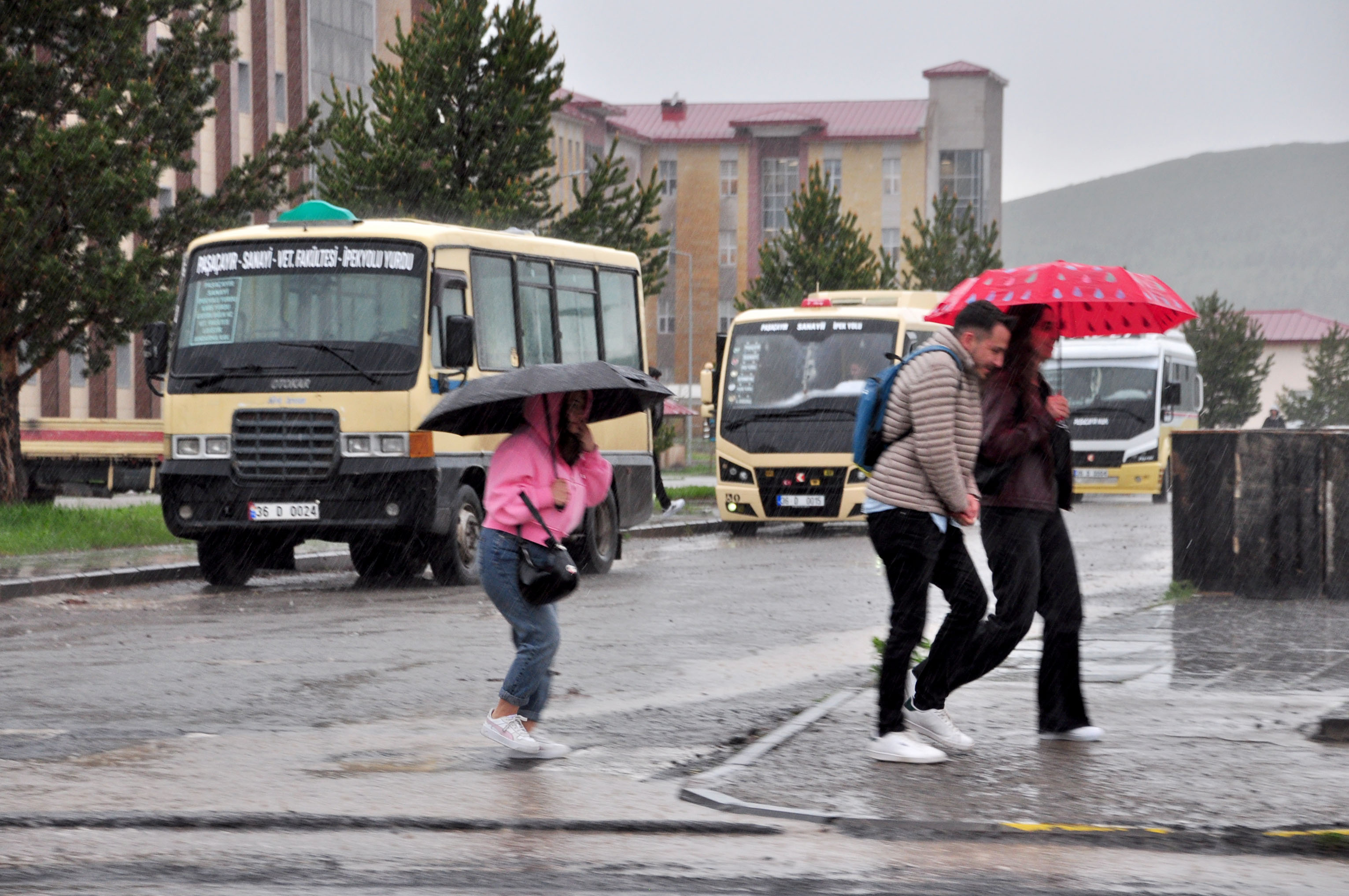 Kars'ta sağanak yağış ve dolu