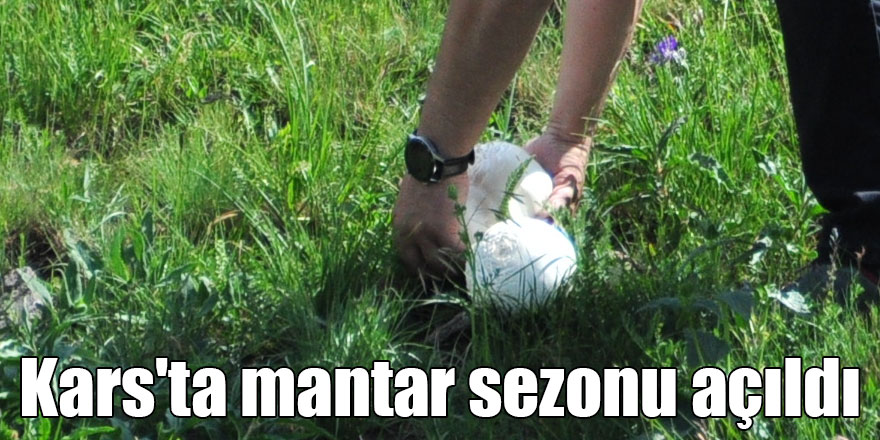 Kars'ta mantar sezonu açıldı