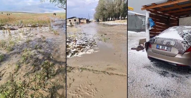 Sağanak ve Dolu Ekili Alanlara Zarar Verdi