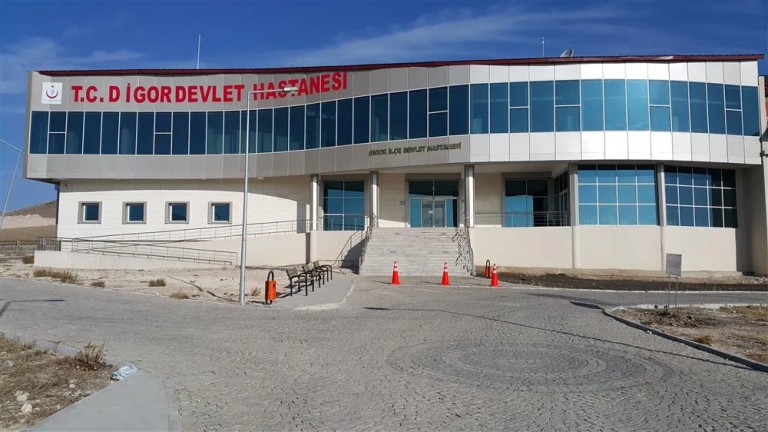 Kene Isırdı Hastanelik oldu