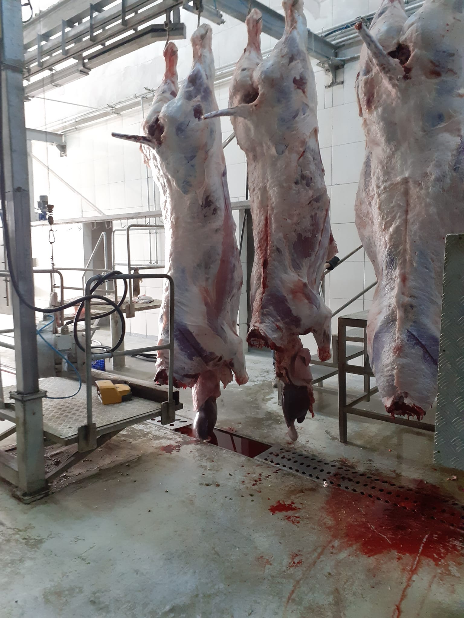 Kars’ta kasaba giderken iki defa düşünün