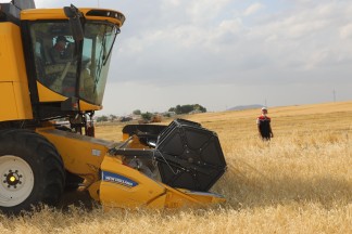 Hububat hasat sezonu başladı
