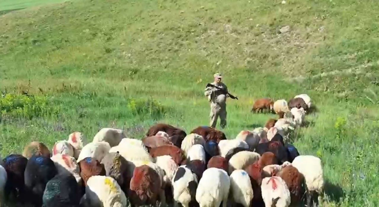 Kars’ta kayıp hayvanlar bulundu