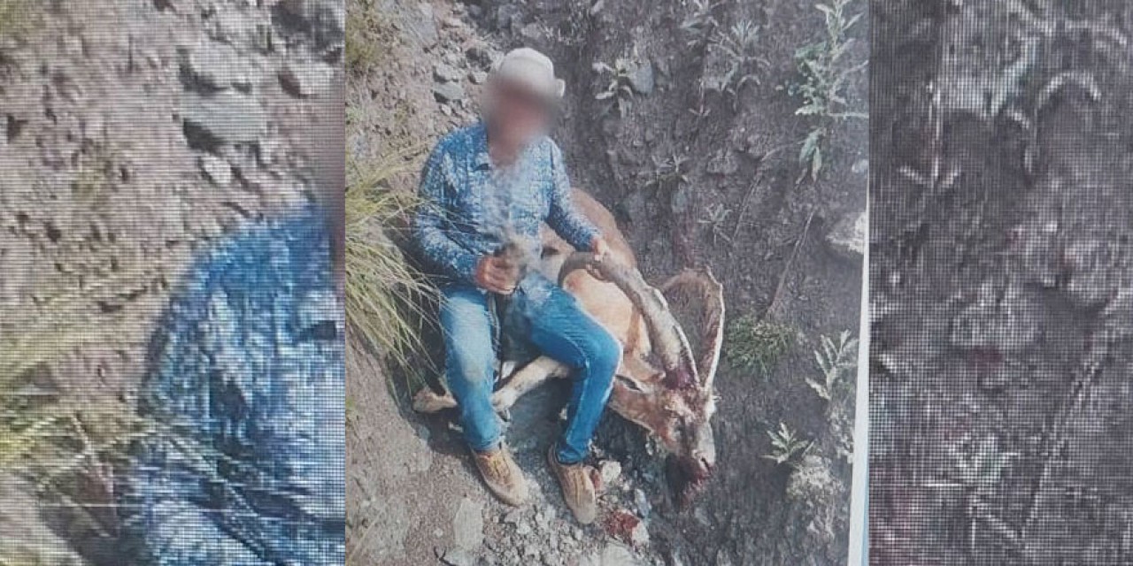 Kağızman’da Yaban Keçisi Avlayan Kişiye Ağır Ceza