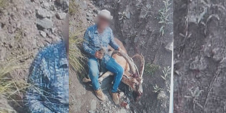 Kağızman’da Yaban Keçisi Avlayan Kişiye Ağır Ceza