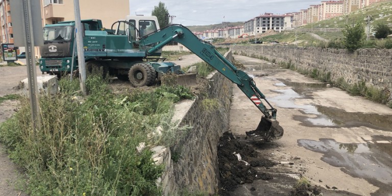 DSİ, Kars Çayı ve derelerde temizlik çalışmalarına hız verdi