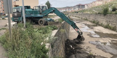 DSİ, Kars Çayı ve derelerde temizlik çalışmalarına hız verdi