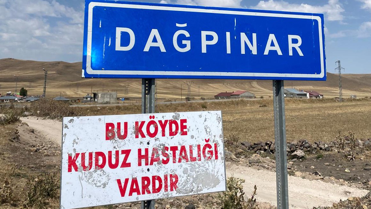 SON DAKİKA....Kars’ta Kuduz Alarmı: Dağpınar Köyünde Vaka Görüldü!