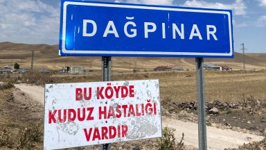 SON DAKİKA....Kars’ta Kuduz Alarmı: Dağpınar Köyünde Vaka Görüldü!