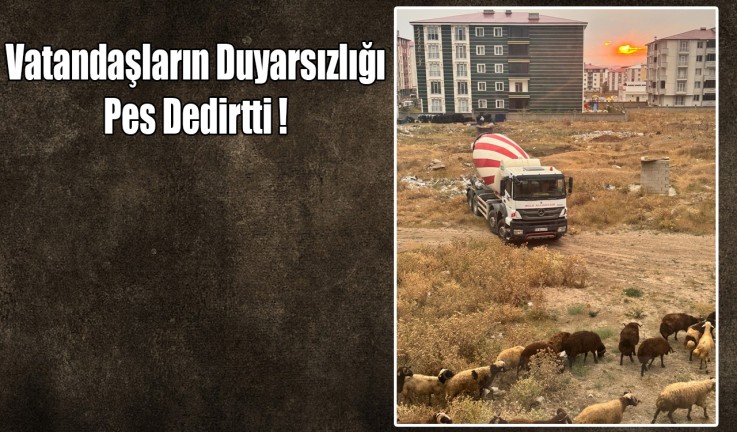 Kars'ta yeşil alan hafriyatla dolduruldu, mahalleli tepkili