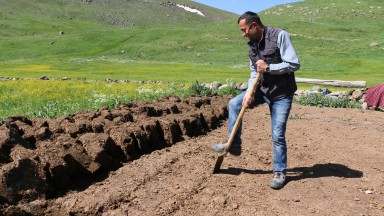 Karsta Kış Hazırlığı: Köylüler Tezek Kesimine Başladı