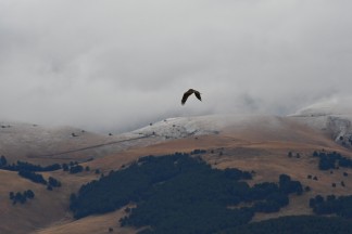 Kars’a mevsimin ilk karı yağdı