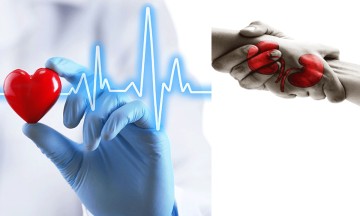 Organ bağışında e-Nabız üzerinden dijital dönem başlıyor