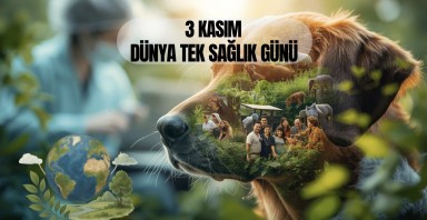 3 Kasım Dünya Tek Sağlık Günü: Tek Sağlık, Tek Gelecek!